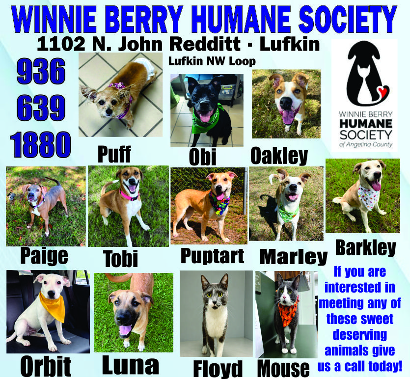 Pet of The Week Ad